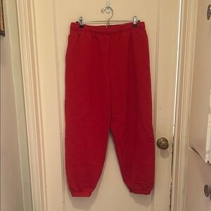 Aritzia TNA Cozy Mega Fleece Seeatpants